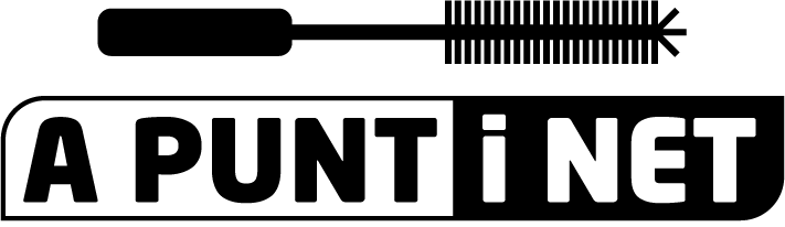 Logotipo A punt i net